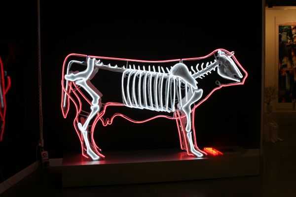 mucca6939A446-968D-0CF9-A57C-E05169E655EC.jpg