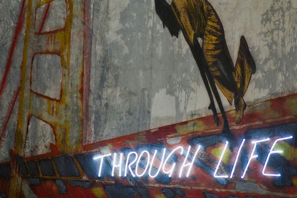 through-life681AB9AC-0FBD-76CB-582B-CE3F8EC158E3.jpg
